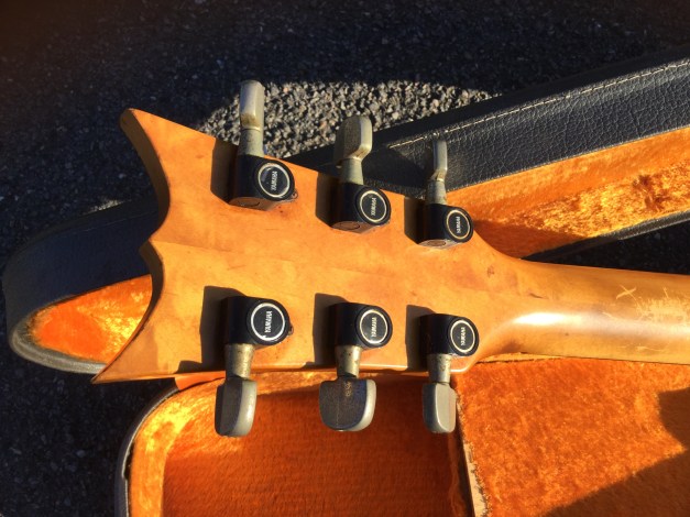 C523EA07-F6BD-4C05-91F2-4C8E3F078B91