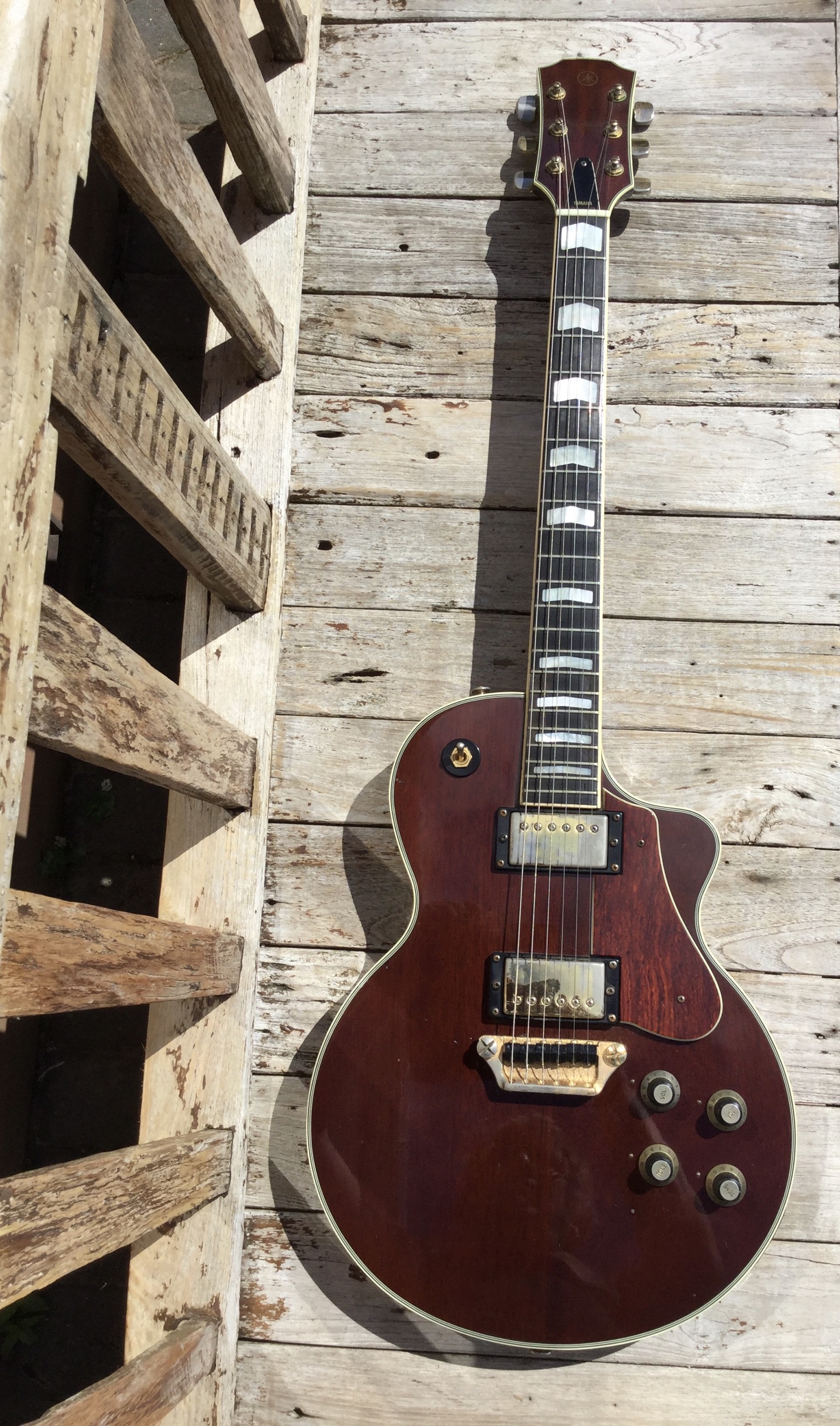 A0D00BCF-2EA1-4CD7-89BF-02547931750F