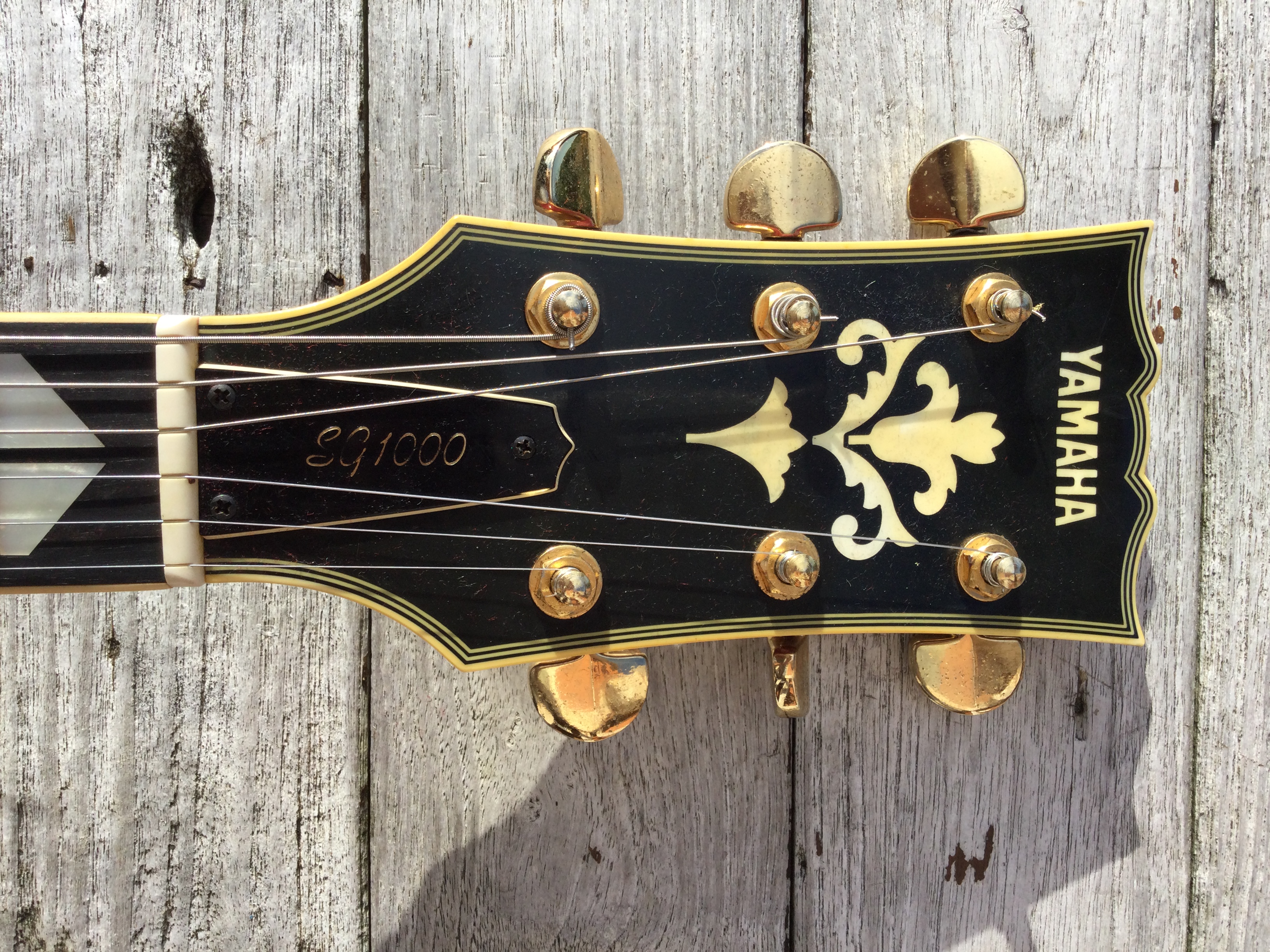 8251F55A-A859-4153-8618-2E8C61B32227