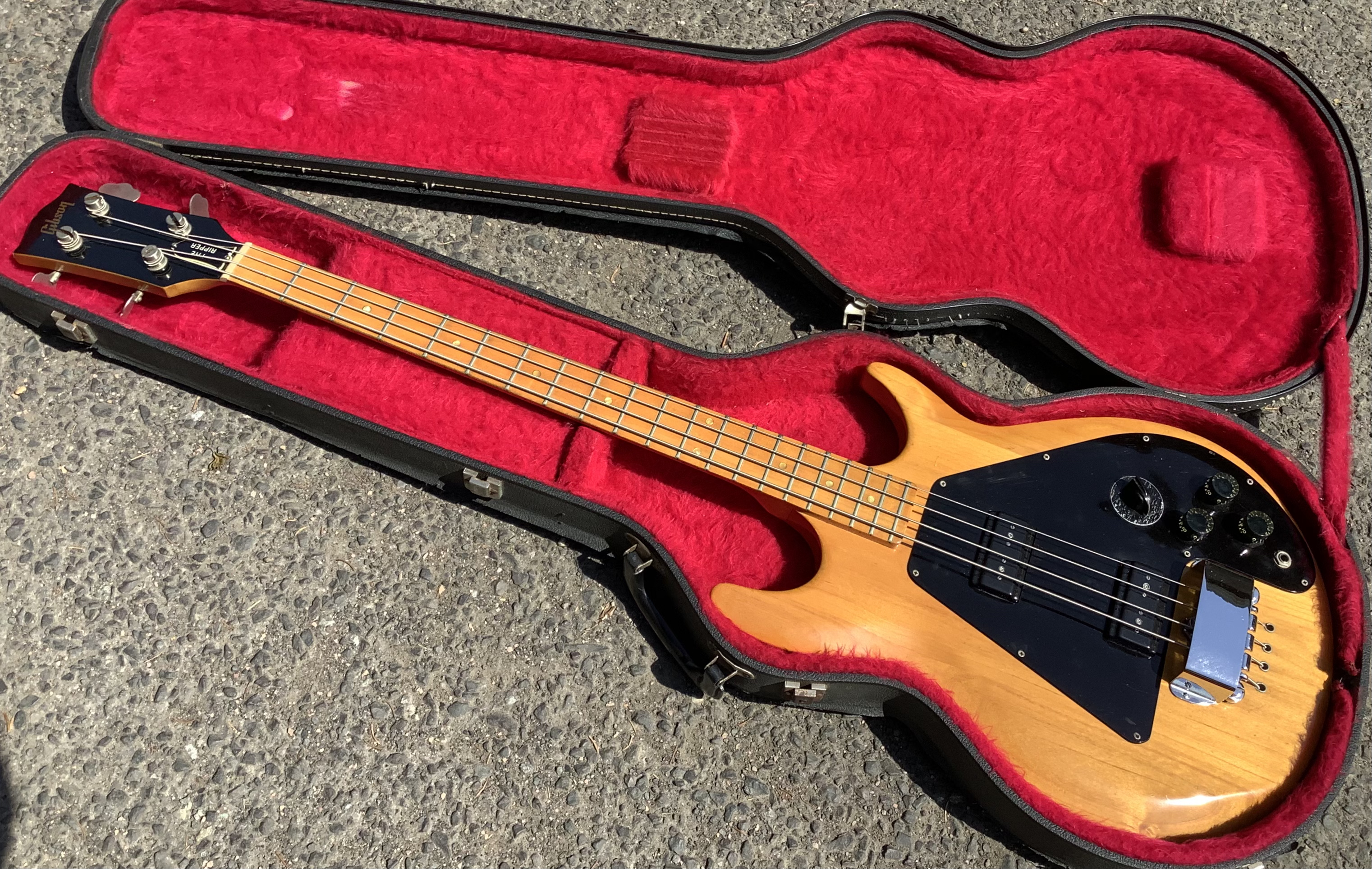 02E8E21D-6274-4ABF-811D-8241415210C0