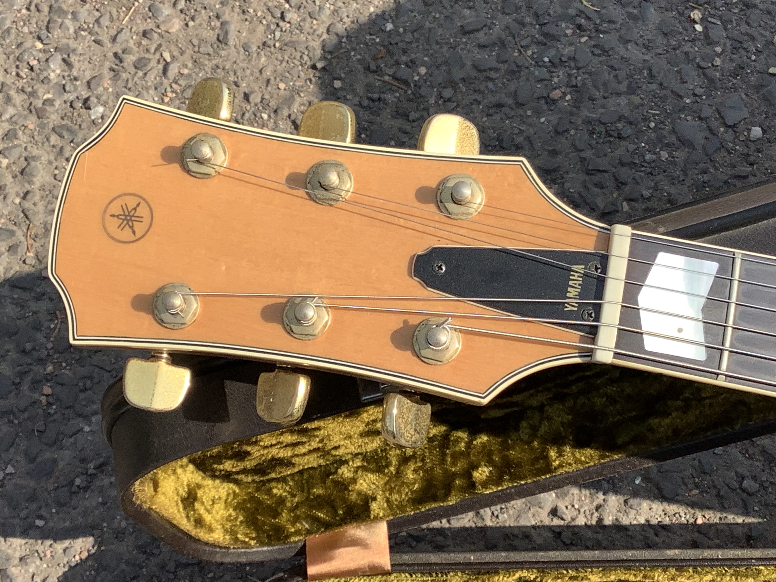 262FD7E1-2E0C-4FA8-817A-F36E287AC01C