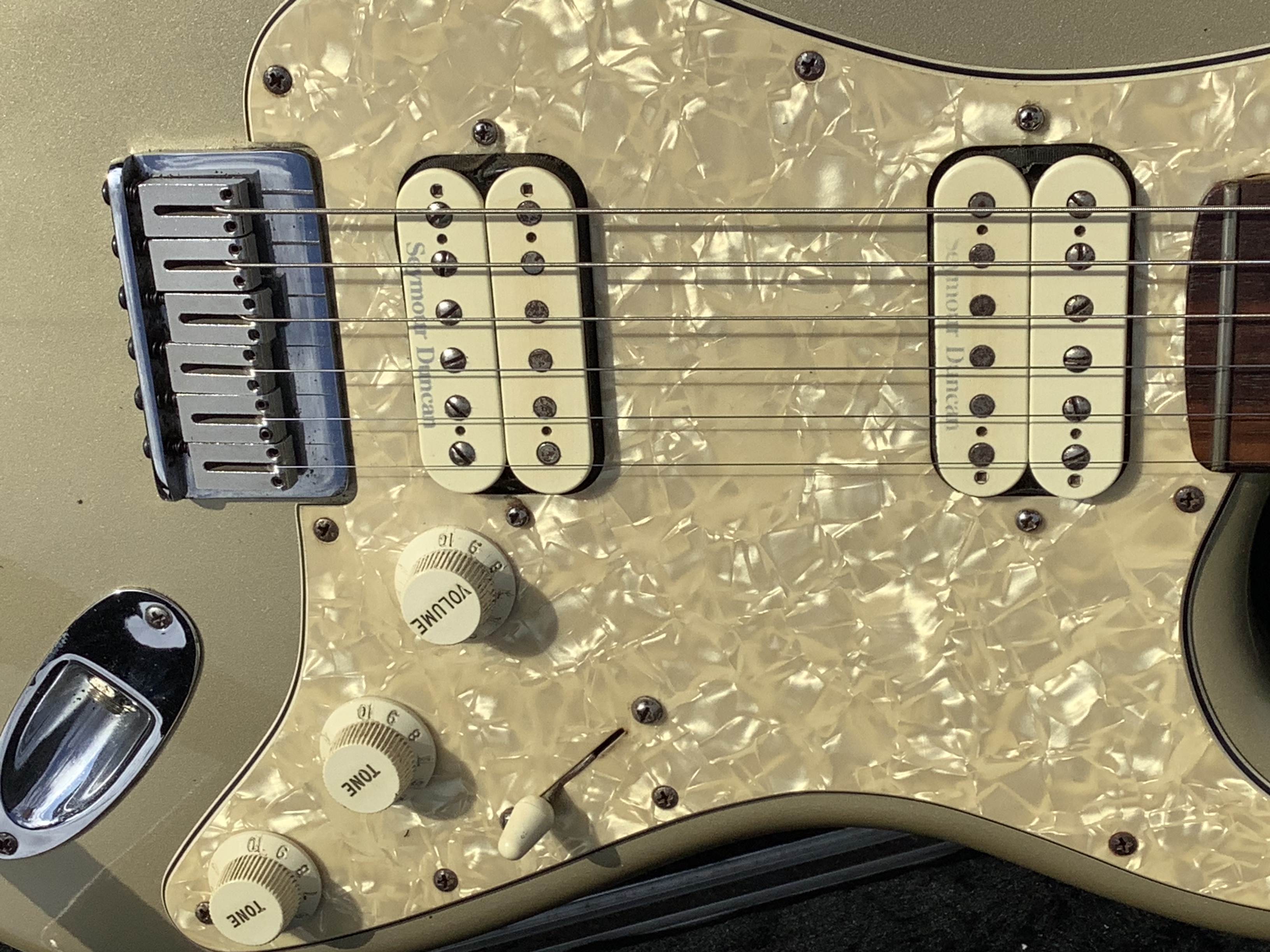 3EF532B5-E609-4303-A466-32B9221E69F4