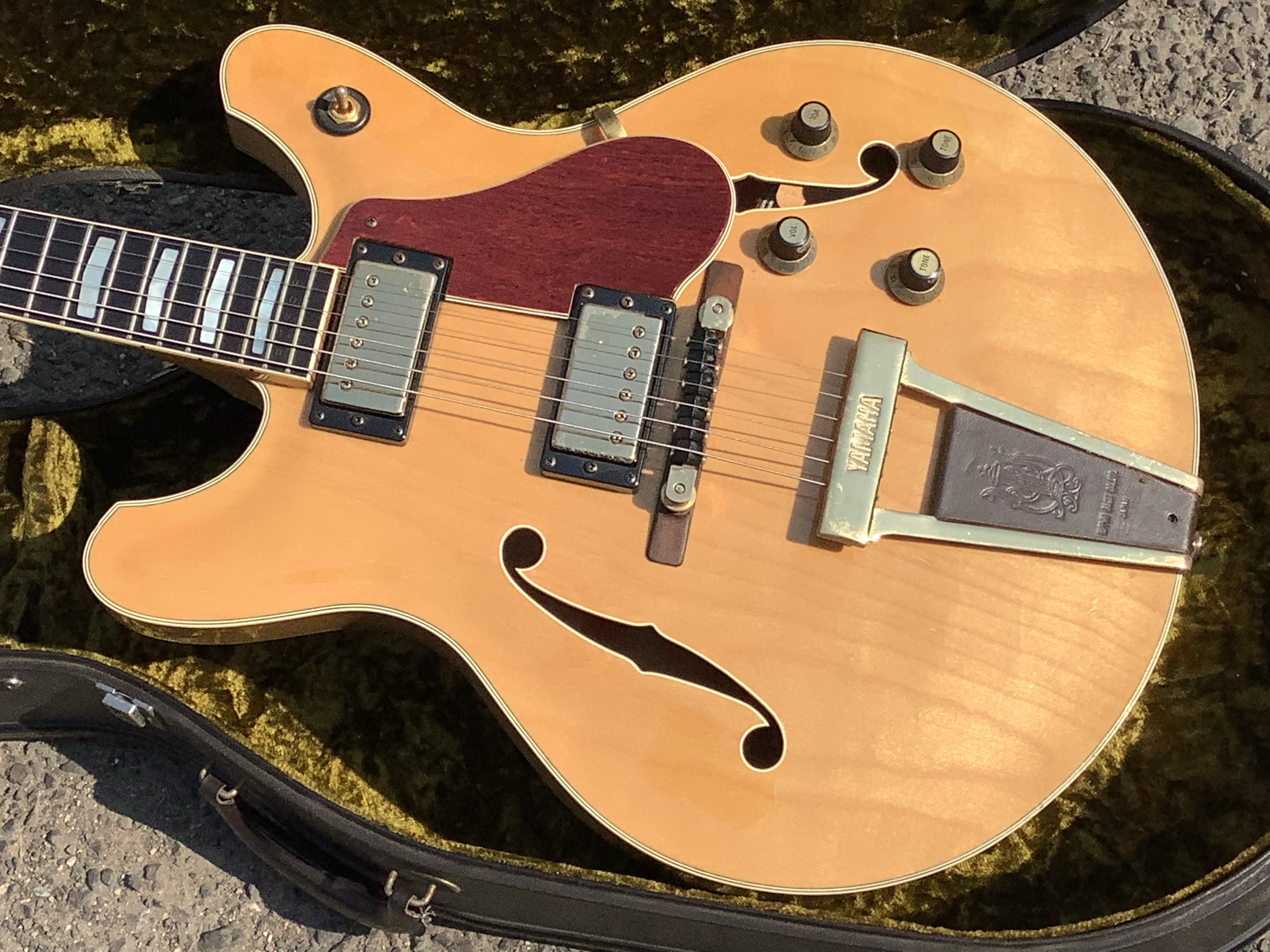 78F687E2-F904-4E63-851F-F83B9077231A