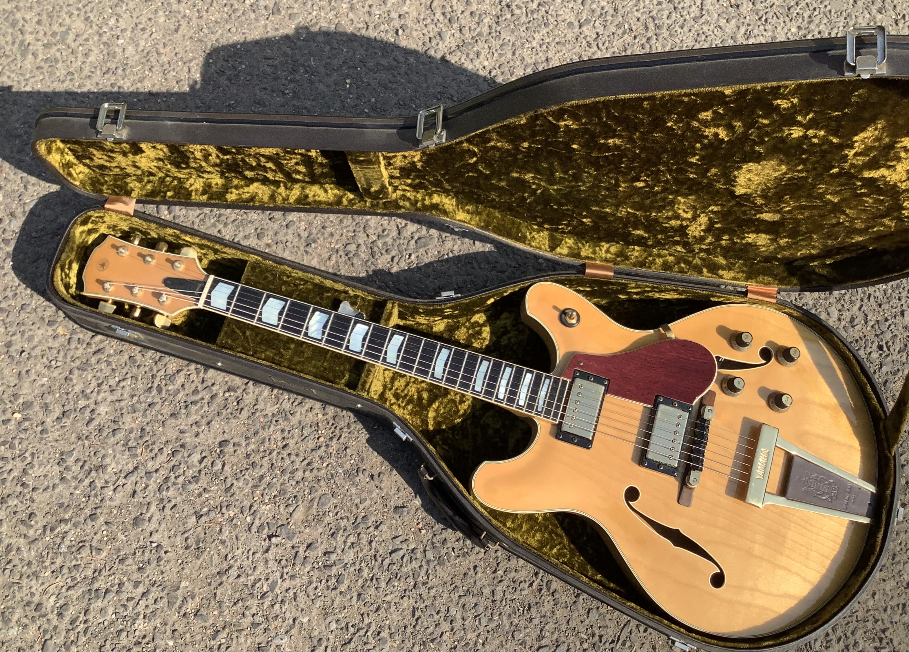 958155DD-1EBE-4425-B73E-0A7AF3EAA557